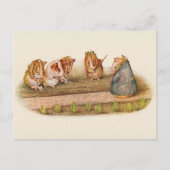 我々は我々の小さなガーデンギニア豚を愛する ポストカード (正面)