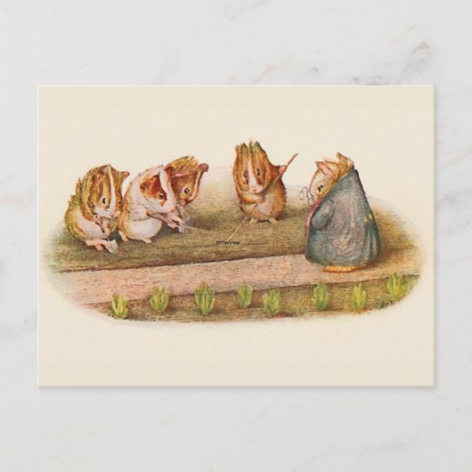 我々は我々の小さなガーデンギニア豚を愛する ポストカード (正面)