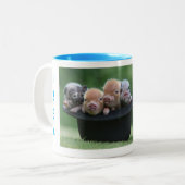 我々は最後の4つのミニピッグ ツートーンマグカップ (正面左)