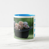 我々は最後の4つのミニピッグ ツートーンマグカップ (中央)