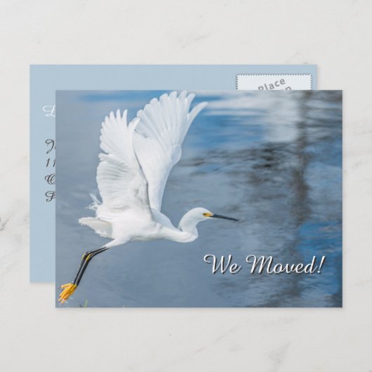 我々は水上を飛んで白い雪の緑を移動した 案内ポストカード (正面/裏面)