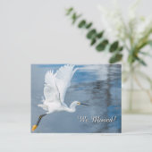 我々は水上を飛んで白い雪の緑を移動した 案内ポストカード (スタンド正面)