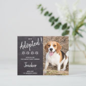 我々は犬の救助の新しいペットのパティー招待状を採用した 案内ポストカード (スタンド正面)