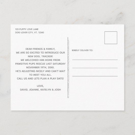 我々は犬の救助の新しいペットを採用した 案内ポストカード (裏面)
