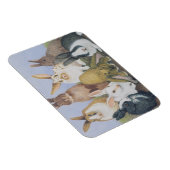 我々は皆の耳だ マグネット (右側)