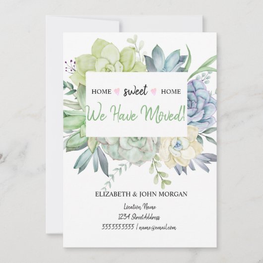 我々は移動した，サボテンの多肉果水玉模様 (正面)