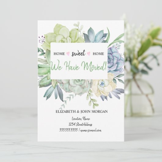 我々は移動した，サボテンの多肉果水玉模様 (スタンド正面)