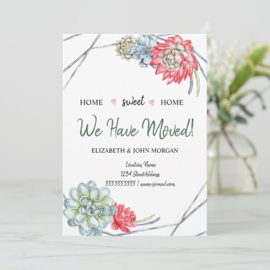 我々は移動した，砂漠サボテン赤い多肉類 (スタンド正面)