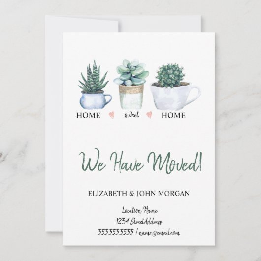 我々は、水色の花サボテン移動した (正面)