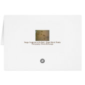 我々シャベル砂ではなく雪 – 砂の足跡 (裏面横)