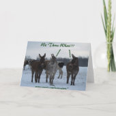 我々三人の王…およびファミリ シーズンカード (裏面)