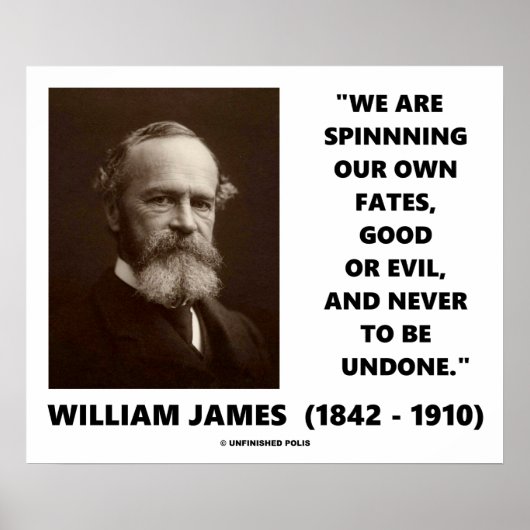 我々自身の運命を紡いで良い又は悪ジェームス引用文 ポスター (正面)