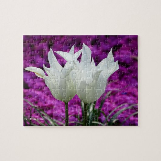 我々2 ジグソーパズル (横)