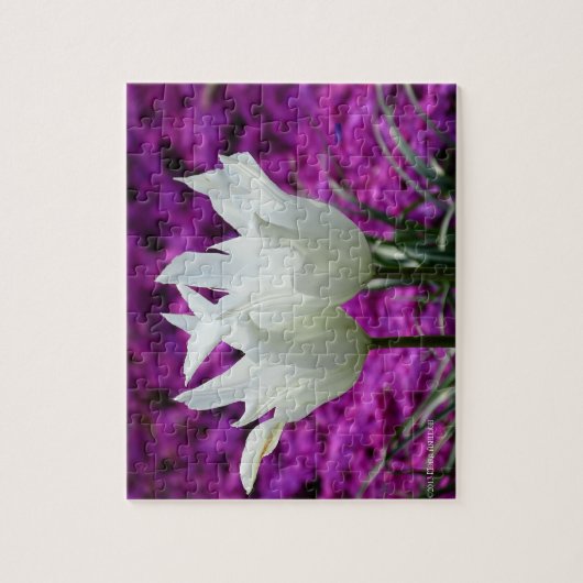 我々2 ジグソーパズル (縦)