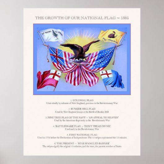 我が国の国旗の成長~ヴィンテージ ポスター (正面)