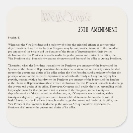 我が国は第25回憲法改正に抵抗する スクエアシール (正面)