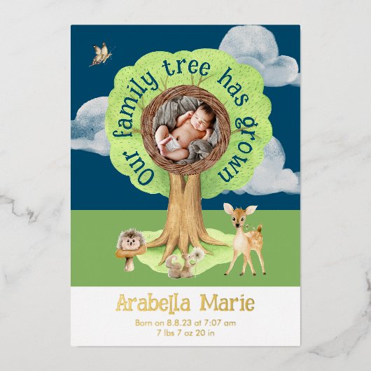 我が家の木は葉樹の誕生の発表を育てた 箔招待状 (正面)