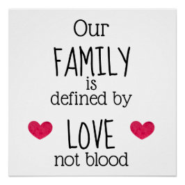 我が家は血を引かない愛によって定義されている ポスター