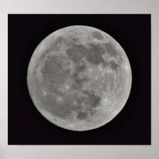 我らの月 ポスター