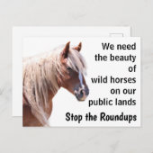 我救らの野生馬 ポストカード (正面/裏面)