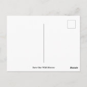 我救らの野生馬 ポストカード (裏面)