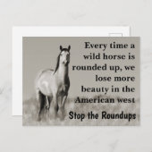 我救らの野生馬 ポストカード (正面/裏面)