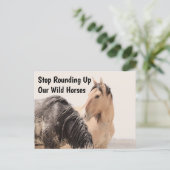 我救らの野生馬 ポストカード (スタンド正面)