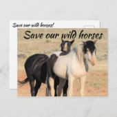 我救らの野生馬 ポストカード (正面/裏面)