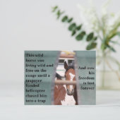 我救らの野生馬 ポストカード (スタンド正面)