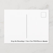 我救らの野生馬 ポストカード (裏面)