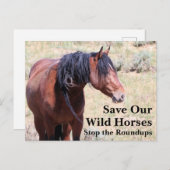 我救らの野生馬 ポストカード (正面/裏面)