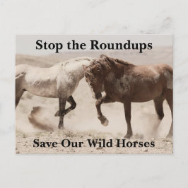 我救らの野生馬 ポストカード