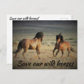 我救らの野生馬 ポストカード (正面/裏面)