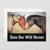 我救らの野生馬 ポストカード (正面/裏面)