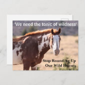 我救らの野生馬 ポストカード (正面/裏面)