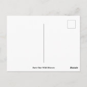 我救らの野生馬 ポストカード (裏面)