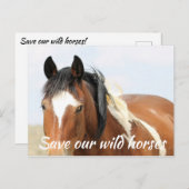 我救らの野生馬 ポストカード (正面/裏面)