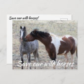 我救らの野生馬 ポストカード (正面/裏面)