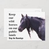 我救らの野生馬 ポストカード (正面/裏面)