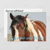 我救らの野生馬 ポストカード (正面/裏面)