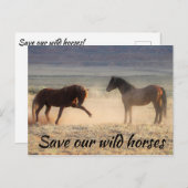 我救らの野生馬 ポストカード (正面/裏面)