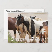 我救らの野生馬 ポストカード (正面/裏面)
