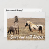 我救らの野生馬 ポストカード (正面/裏面)