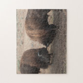 戦いのアメリカ野牛の雄牛の野性生物のパズル ジグソーパズル (縦)