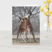 戦いのカンガルーの挨拶状 カード (黄色い花)