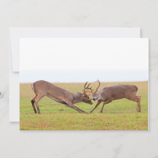 戦いのシカの招待状 招待状 (正面)