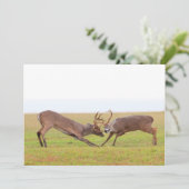 戦いのシカの招待状 招待状 (スタンド正面)