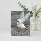 戦うカモメ ポストカード (スタンド正面)