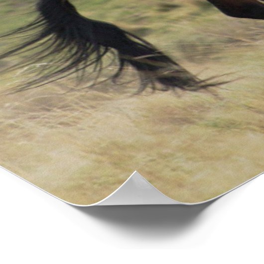 戦うスタリオン、スティーンズマウンテン、オレゴン ポスター (角)