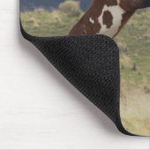 戦うスタリオン、スティーンズマウンテン、オレゴン マウスパッド (コーナー)